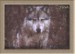 Yurok2_new.jpg