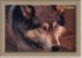 kaska_card1.jpg