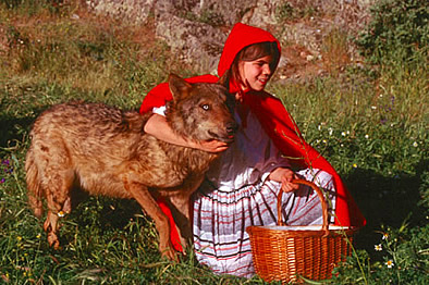 girl with wolf