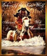 excellence award