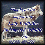 Lady wildlife award