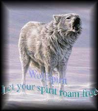 wolf Spirit award